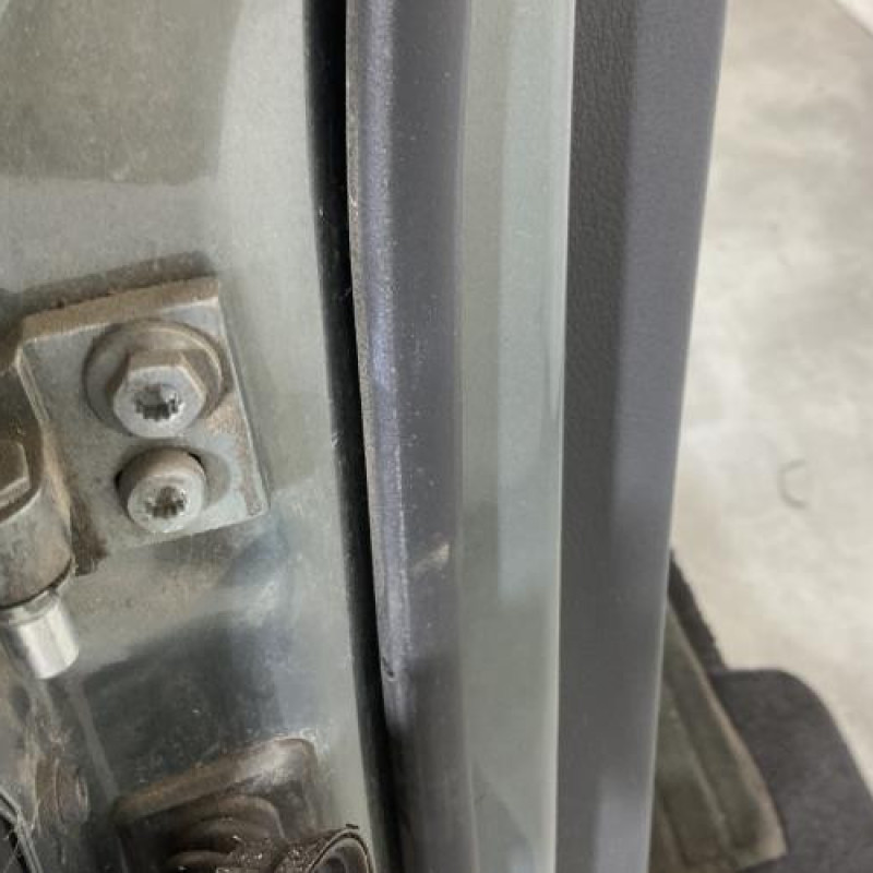 Porte arriere droit VOLKSWAGEN GOLF PLUS Photo n°4