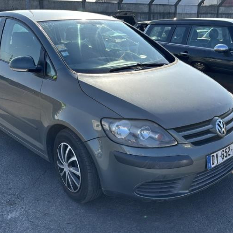 Porte arriere droit VOLKSWAGEN GOLF PLUS Photo n°8