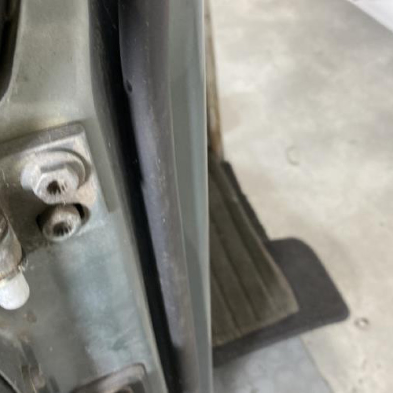 Porte avant droit VOLKSWAGEN GOLF PLUS Photo n°4