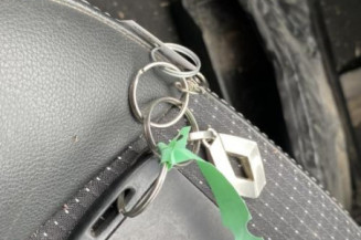 Jante RENAULT SCENIC 3
