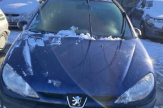 Capot PEUGEOT 206