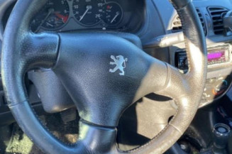 Capot PEUGEOT 206