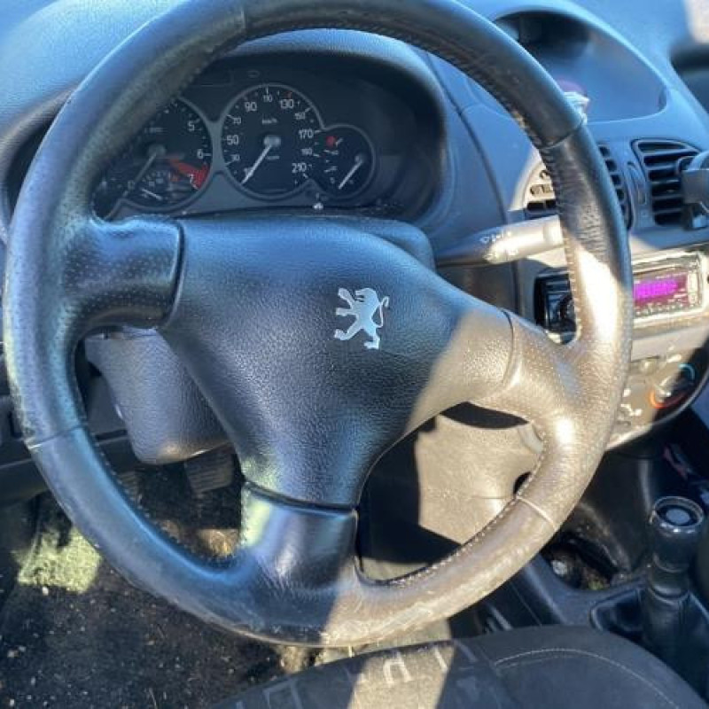 Capot PEUGEOT 206 Photo n°18
