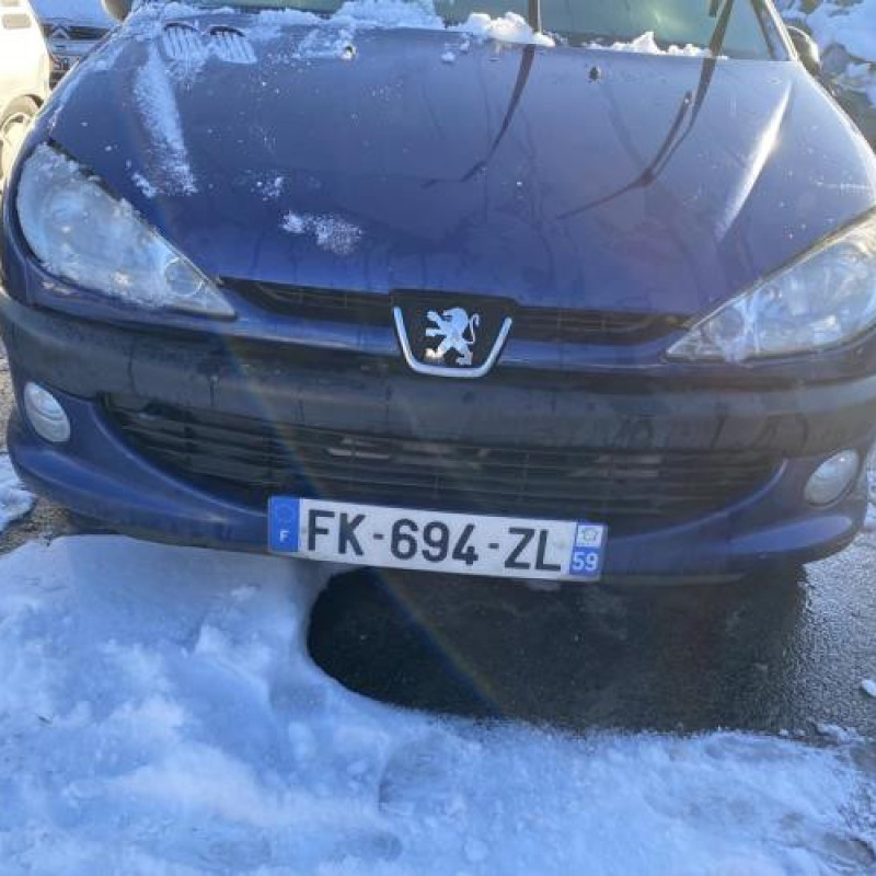 Capot PEUGEOT 206 Photo n°19