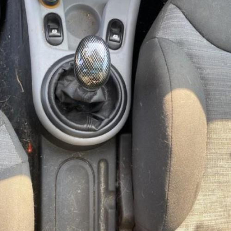 Porte arriere droit CITROEN C3 1 Photo n°11