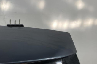 Malle/Hayon arriere CITROEN C4 GRAND PICASSO 1