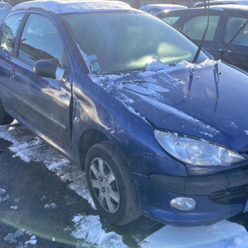 Porte avant droit PEUGEOT 206 Photo n°19