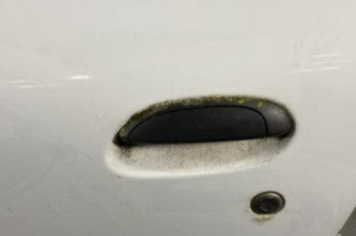 Porte avant gauche RENAULT CLIO 2 CAMPUS