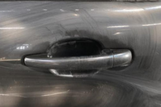 Porte arriere gauche CITROEN C3 2
