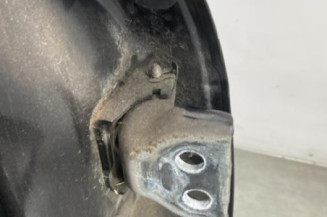 Porte arriere gauche CITROEN C3 2