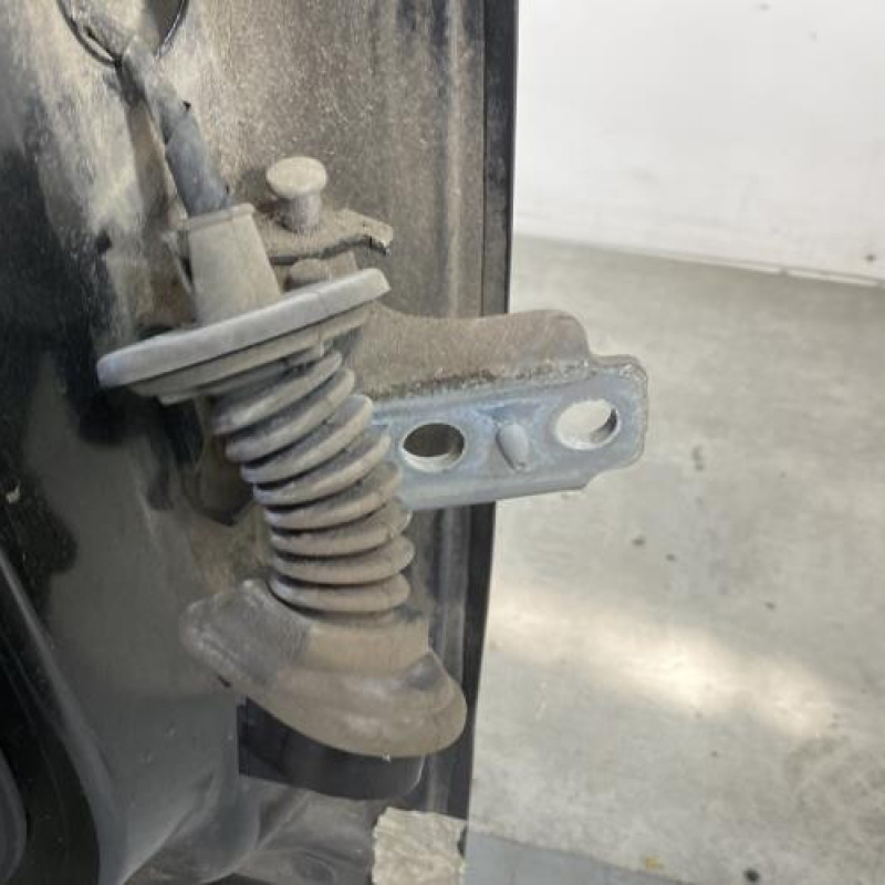 Porte arriere gauche CITROEN C3 2 Photo n°6