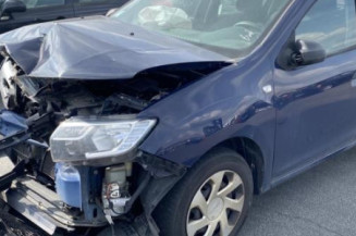 Porte arriere gauche DACIA SANDERO 2
