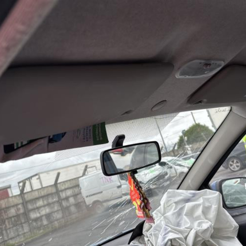 Porte avant gauche RENAULT TWINGO 2 Photo n°19