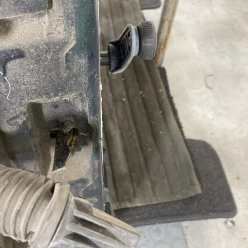 Porte arriere droit PEUGEOT 405 Photo n°3