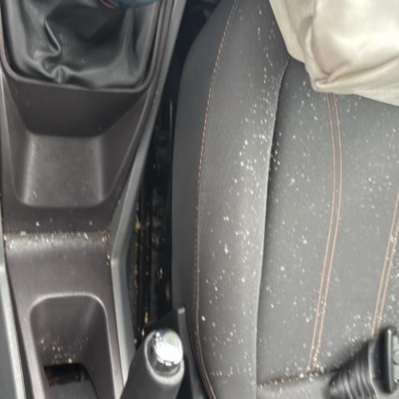 Porte avant droit SEAT IBIZA 4 Photo n°19