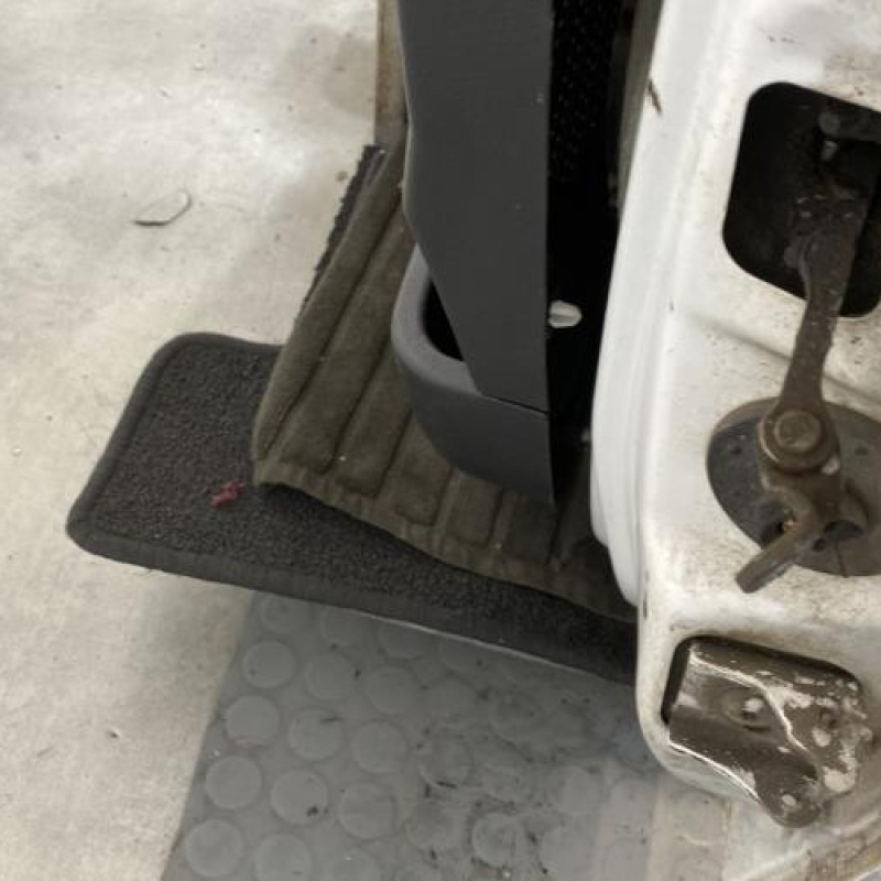Porte avant gauche CITROEN C3 1 Photo n°5