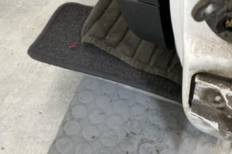 Porte avant gauche CITROEN C3 1