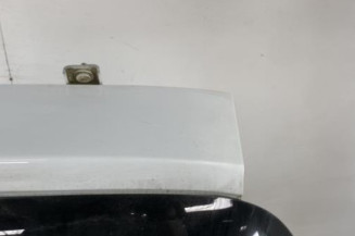 Malle/Hayon arriere RENAULT CLIO 3