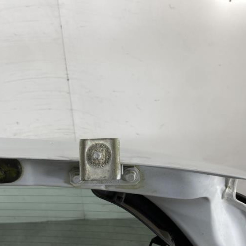 Malle/Hayon arriere RENAULT CLIO 3 Photo n°7