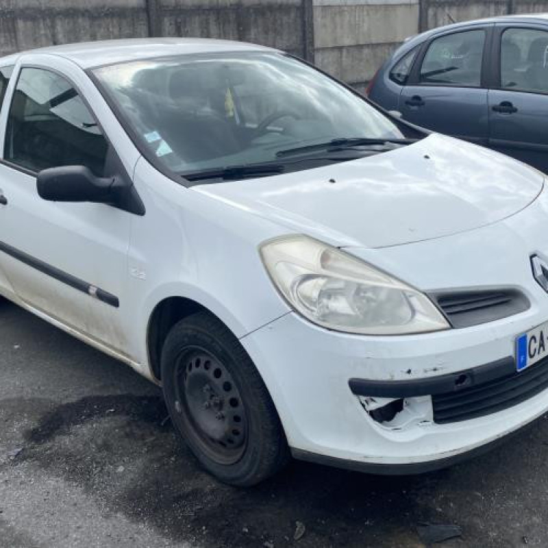 Malle/Hayon arriere RENAULT CLIO 3 Photo n°13