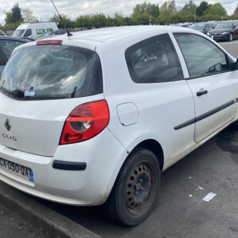 Malle/Hayon arriere RENAULT CLIO 3 Photo n°14
