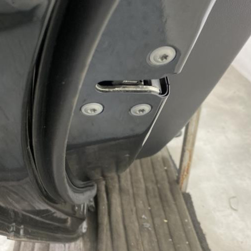 Porte arriere gauche RENAULT KOLEOS 1 Photo n°3