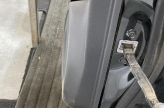 Porte arriere gauche RENAULT KOLEOS 1