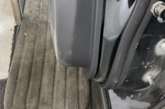 Porte arriere gauche RENAULT KOLEOS 1