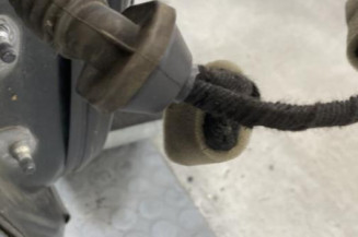 Porte avant droit RENAULT KOLEOS 1