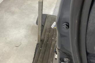 Porte avant gauche RENAULT KOLEOS 1