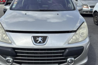 Porte arriere droit PEUGEOT 307