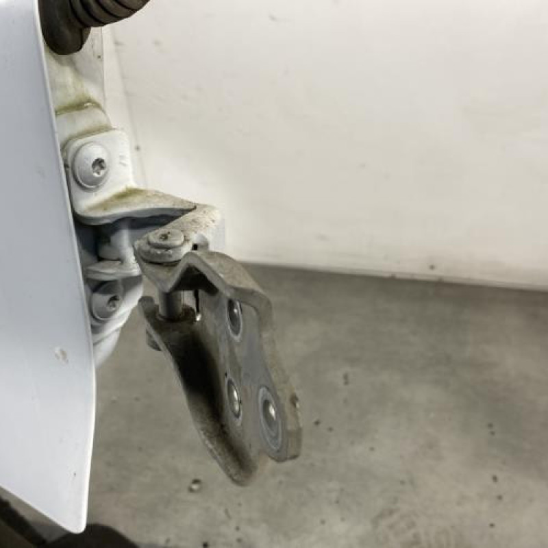 Porte avant droit RENAULT MASCOTT Photo n°6