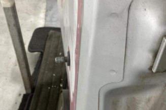 Porte arriere gauche OPEL ASTRA H