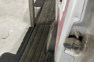Porte arriere gauche OPEL ASTRA H