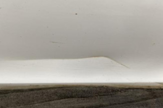 Porte avant droit RENAULT CLIO 3