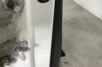 Porte avant droit RENAULT CLIO 3