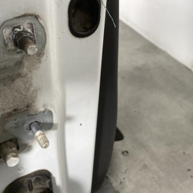 Porte avant droit RENAULT CLIO 3 Photo n°5