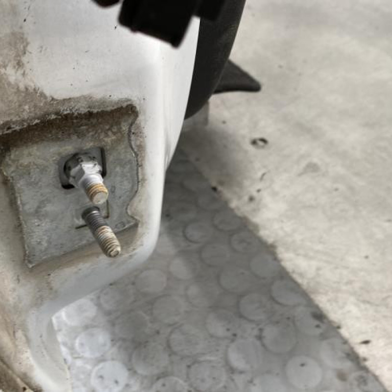 Porte avant droit RENAULT CLIO 3 Photo n°6