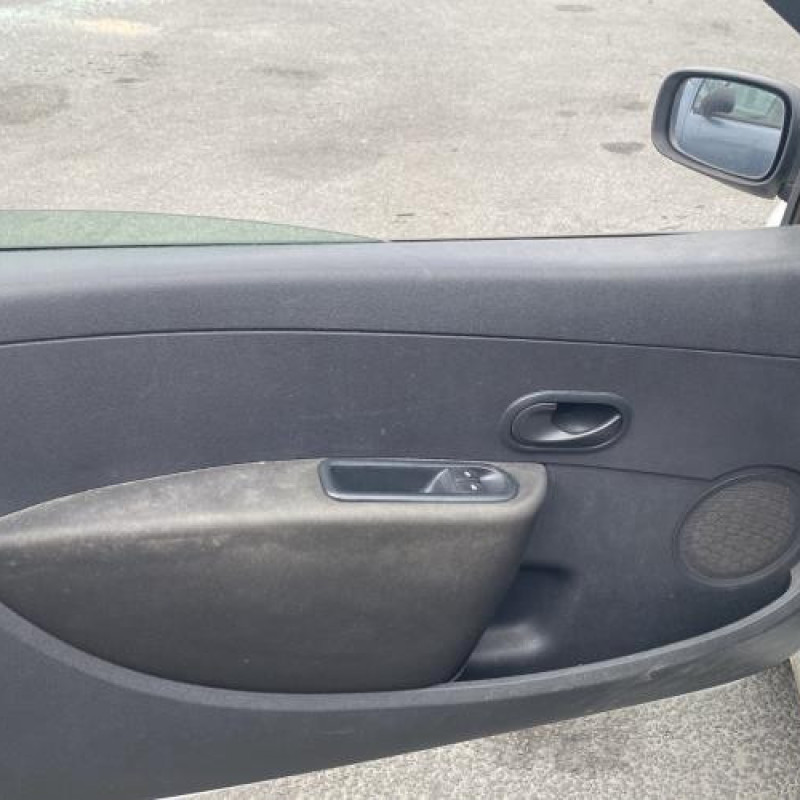 Porte avant droit RENAULT CLIO 3 Photo n°16