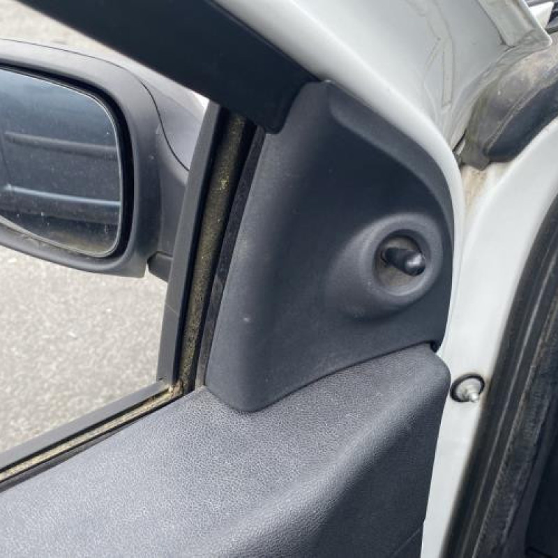 Porte avant droit RENAULT CLIO 3 Photo n°17