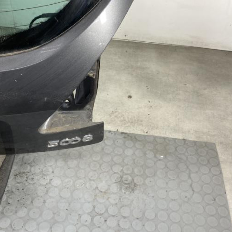 Malle/Hayon arriere PEUGEOT 3008 1 Photo n°6