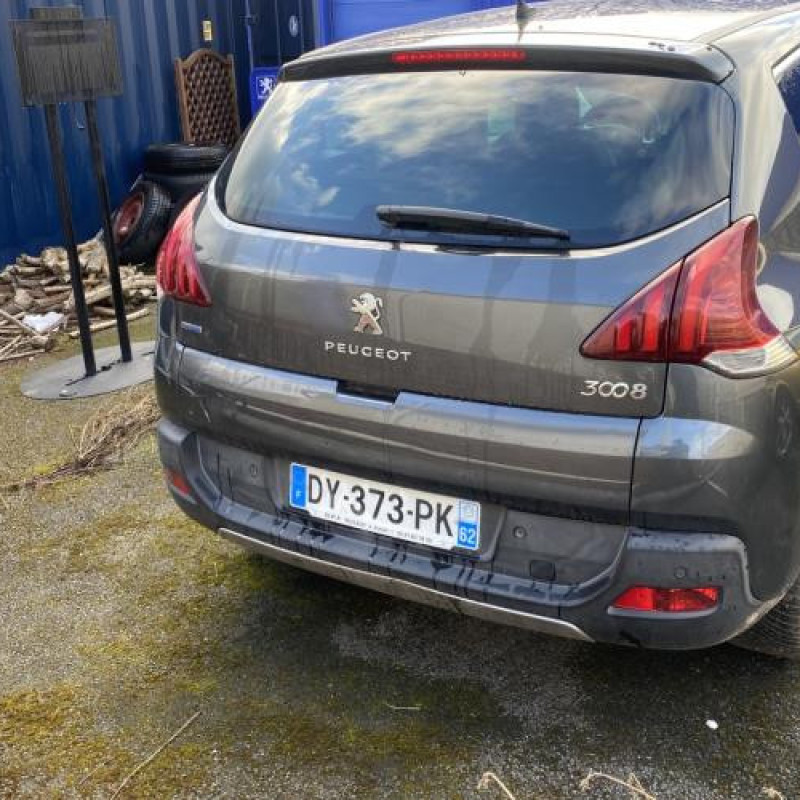 Malle/Hayon arriere PEUGEOT 3008 1 Photo n°19