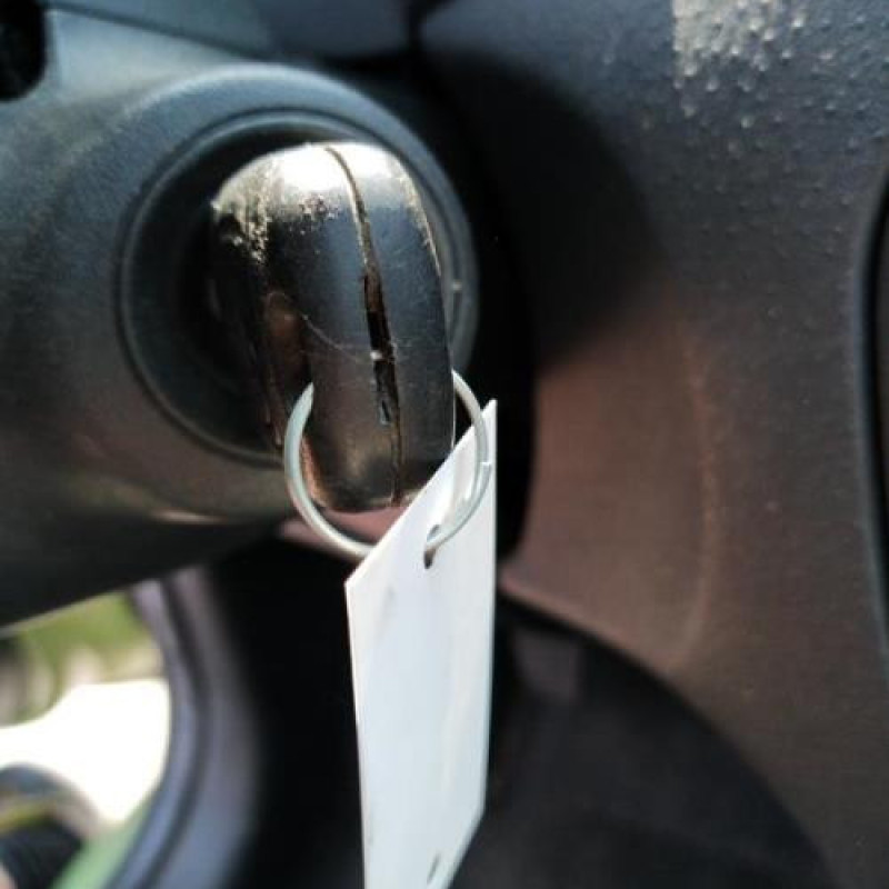 Jante CITROEN C3 1 Photo n°6