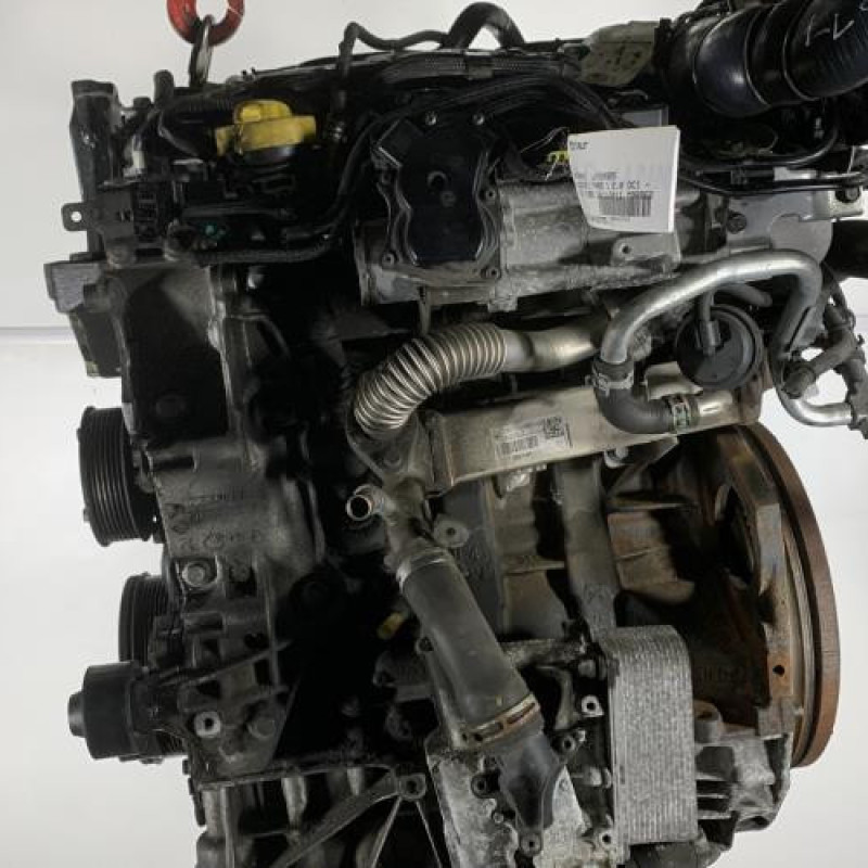 Moteur RENAULT KOLEOS 1 Photo n°3