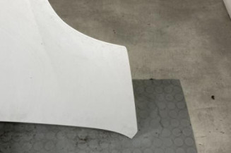 Capot RENAULT TRAFIC 2