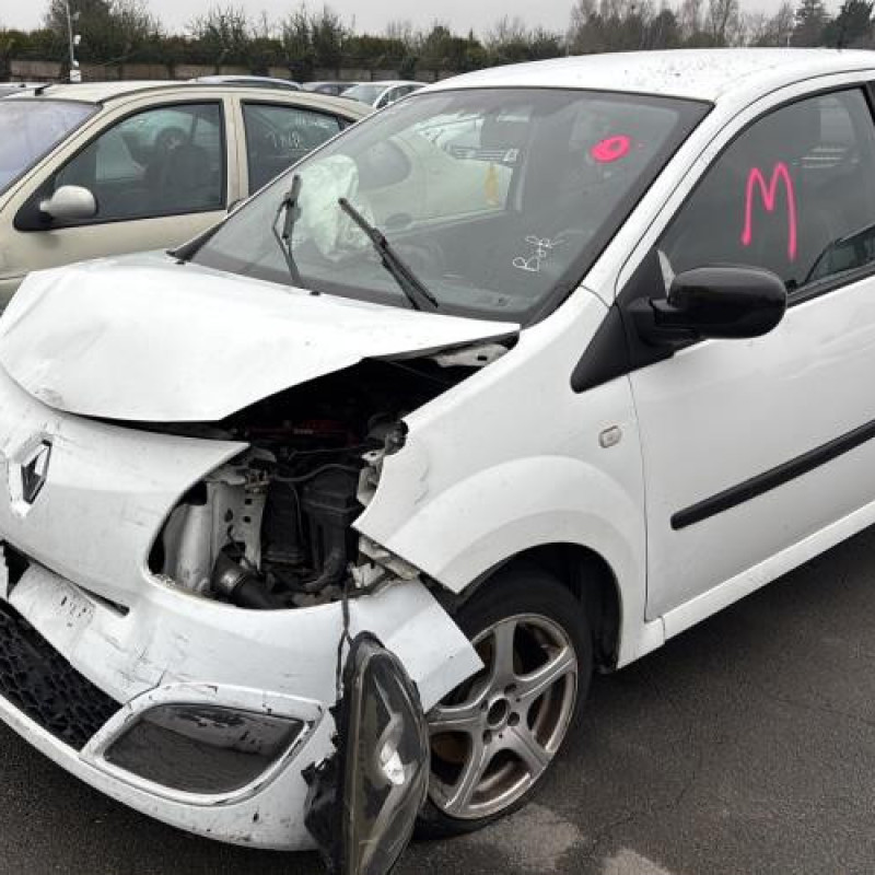 Malle/Hayon arriere RENAULT TWINGO 2 Photo n°14