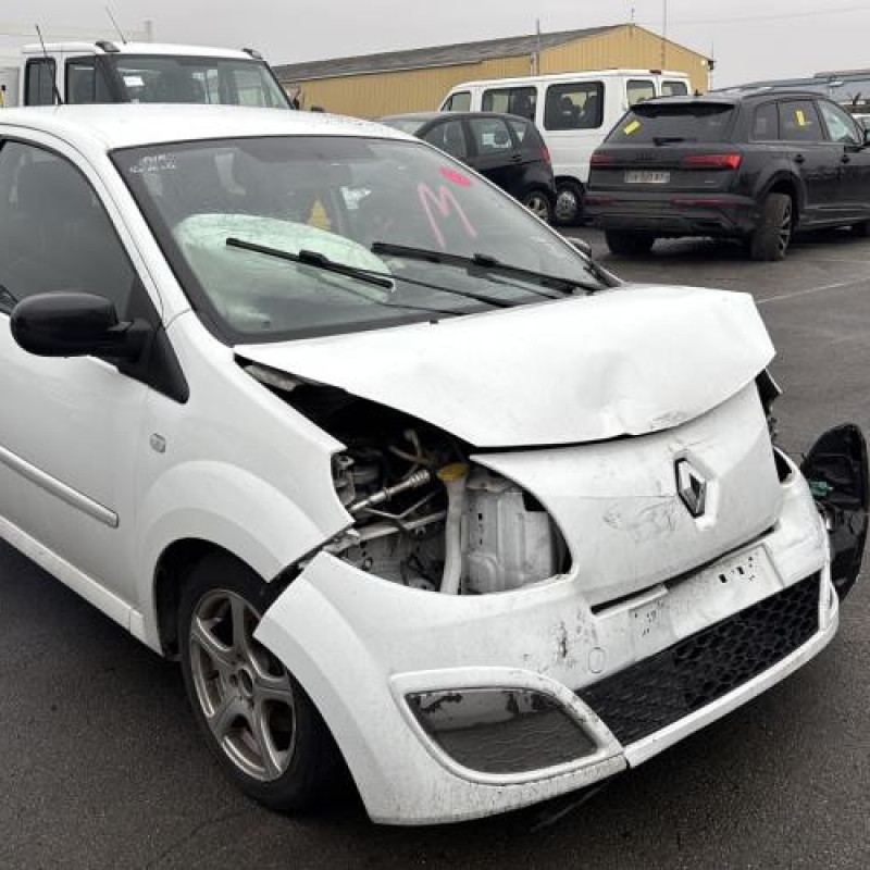 Malle/Hayon arriere RENAULT TWINGO 2 Photo n°15