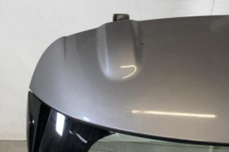 Malle/Hayon arriere RENAULT CLIO 4