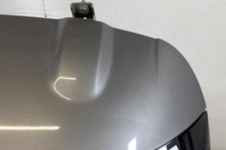 Malle/Hayon arriere RENAULT CLIO 4