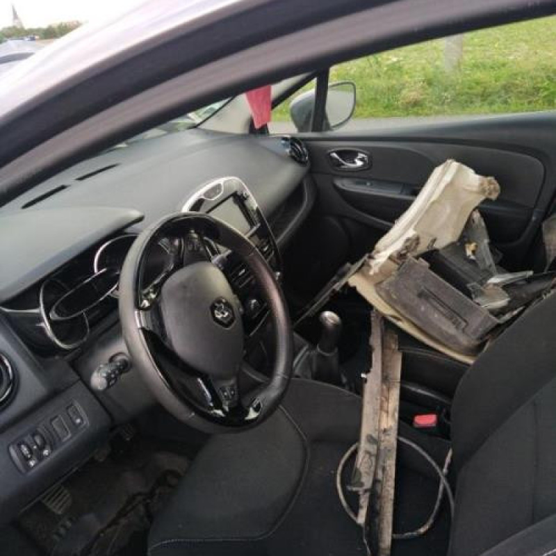 Porte arriere droit RENAULT CLIO 4 Photo n°7